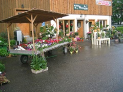 Offene Stelle Florist:In EFZ